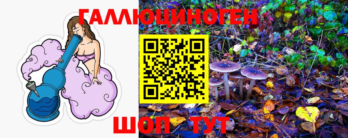 Псилоцибиновые грибы GOLDEN TEACHER Сергиев Посад