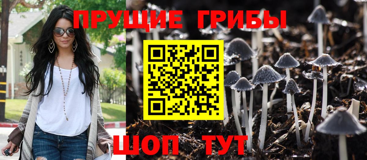 Сергиев Посад  Галлюциногенные грибы ЛСД  Вход с VPN 